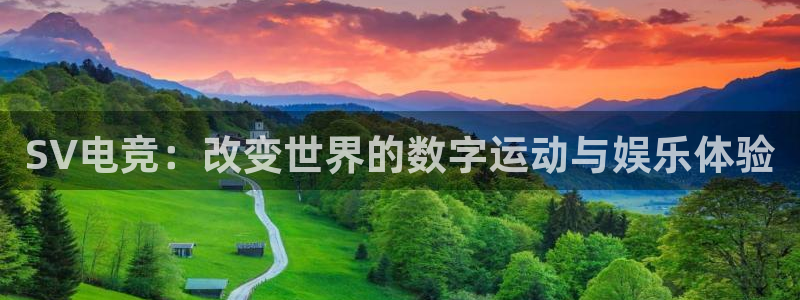 一竞技：SV电竞：改变世界的数字运动与娱乐体验