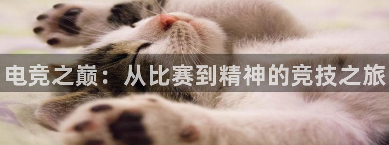 一竞技：电竞之巅：从比赛到精神的竞技之旅
