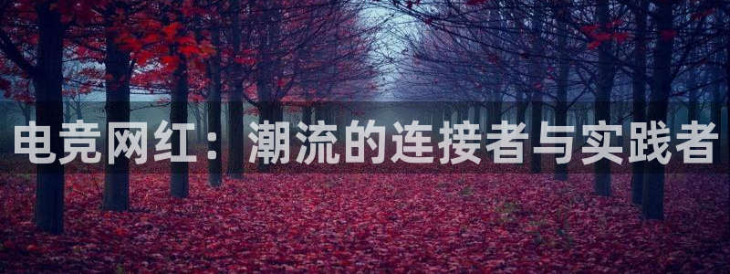 一竞技官网地址：电竞网红：潮流的连接者与实践者