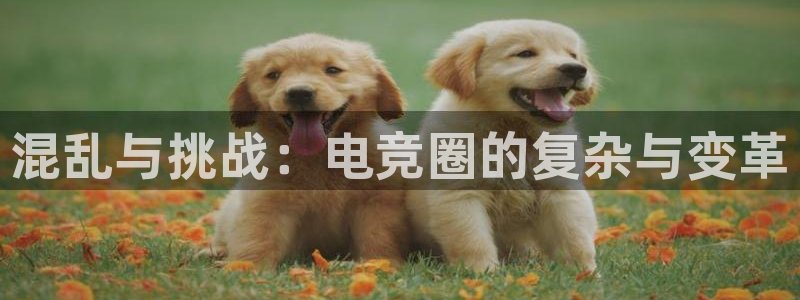 一竞技app下载：混乱与挑战：电竞圈的复杂与变革