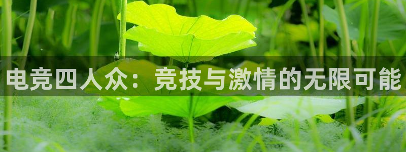 一竞技平台：电竞四人众：竞技与激情的无限可能
