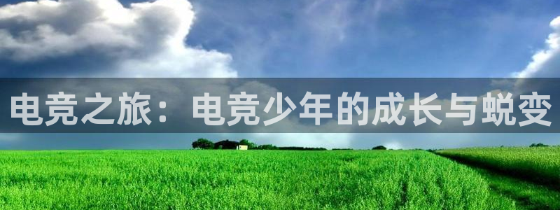 一竞技官网：电竞之旅：电竞少年的成长与蜕变
