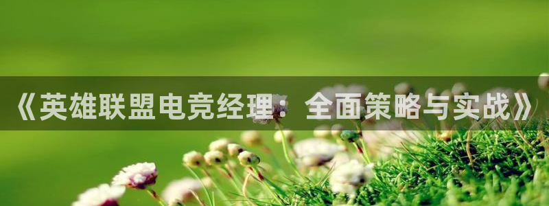 一竞技官网下载：《英雄联盟电竞经理：全面策略与实战》