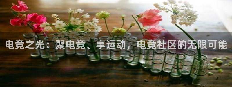 一竞技平台：电竞之光：聚电竞、享运动，电竞社区的无限可能