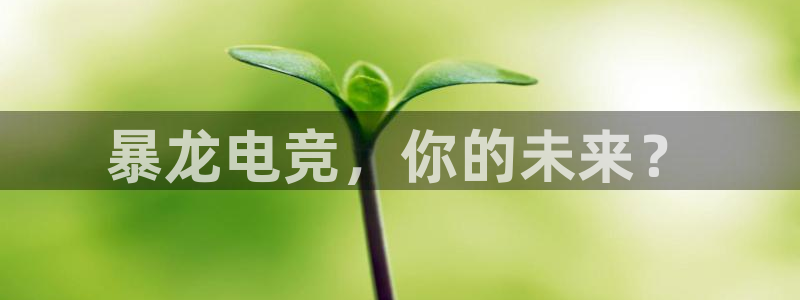 一竞技官网地址：暴龙电竞，你的未来？