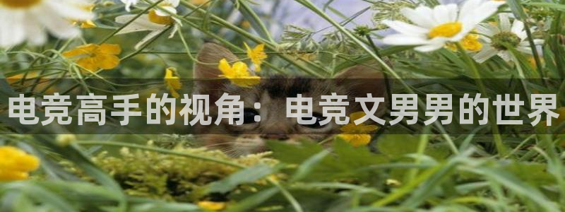 一竞技app