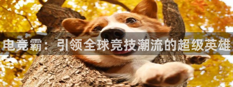一竞技官网
