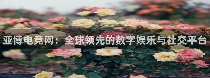 一竞技app下载安装：亚博电竞网：全球领先的数字娱乐与社交平台