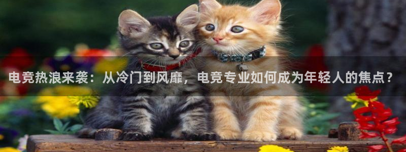 一竞技官网地址