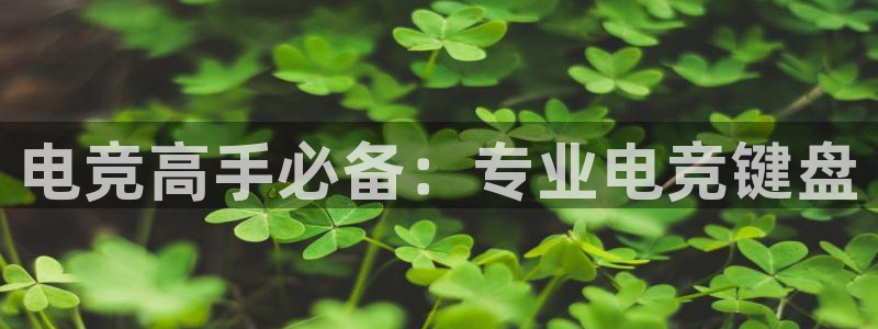 一竞技官网