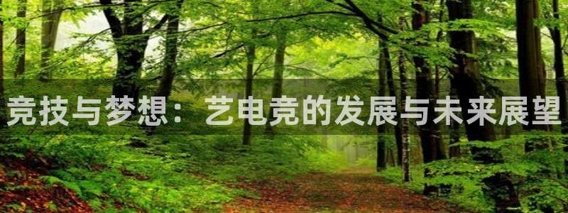 一竞技平台：竞技与梦想：艺电竞的发展与未来展望