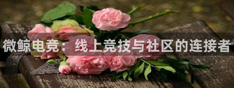 一竞技app