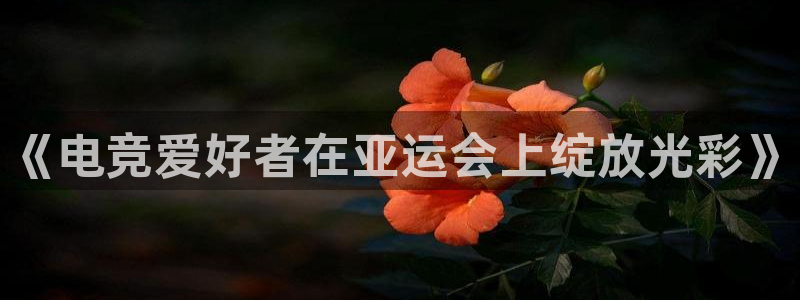一竞技app