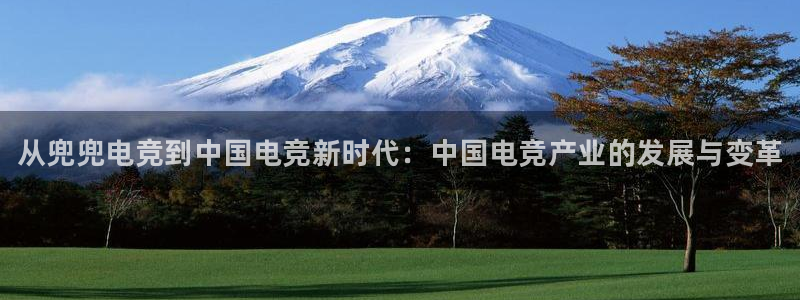 一竞技app下载：从兜兜电竞到中国电竞新时代：中国电竞产业的发展与变革