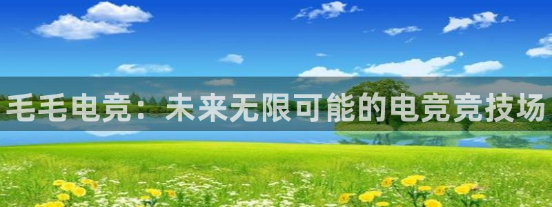 一竞技官网：毛毛电竞：未来无限可能的电竞竞技场