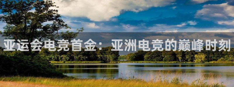 一竞技app下载：亚运会电竞首金：亚洲电竞的巅峰时刻