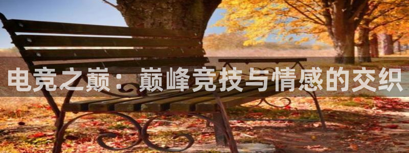 一竞技官网：电竞之巅：巅峰竞技与情感的交织