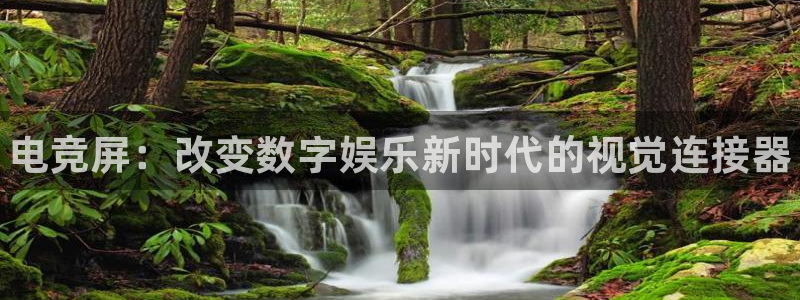 一竞技app下载安装