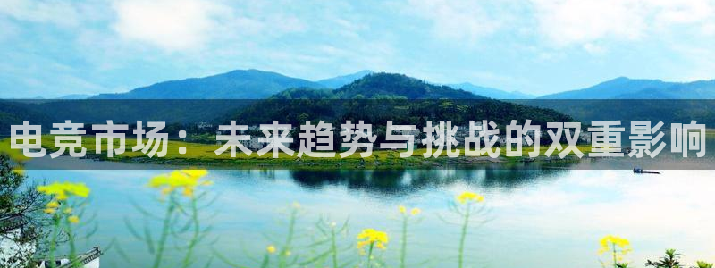 一竞技app：电竞市场：未来趋势与挑战的双重影响