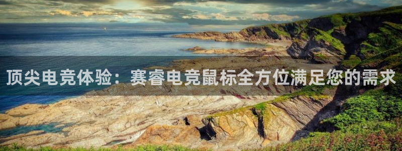 一竞技app：顶尖电竞体验：赛睿电竞鼠标全方位满足您的需求