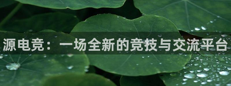 一竞技官网下载