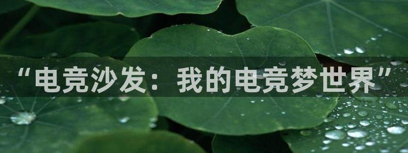一竞技app下载安装：“电竞沙发：我的电竞梦世界”