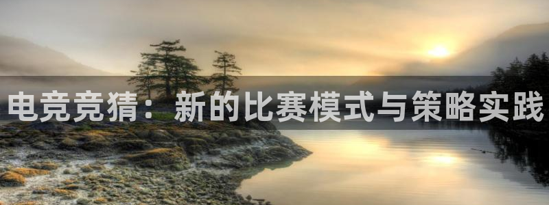 一竞技平台：电竞竞猜：新的比赛模式与策略实践