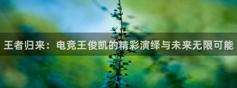 一竞技平台：王者归来：电竞王俊凯的精彩演绎与未来无限可能