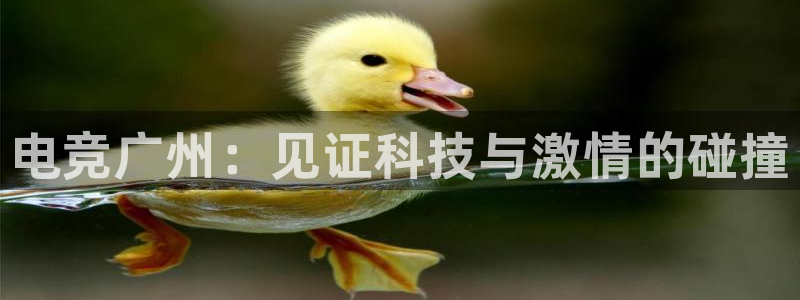 一竞技app：电竞广州：见证科技与激情的碰撞