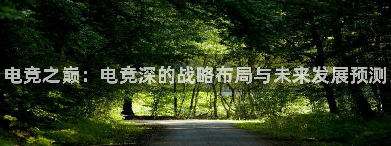 一竞技官网：电竞之巅：电竞深的战略布局与未来发展预测