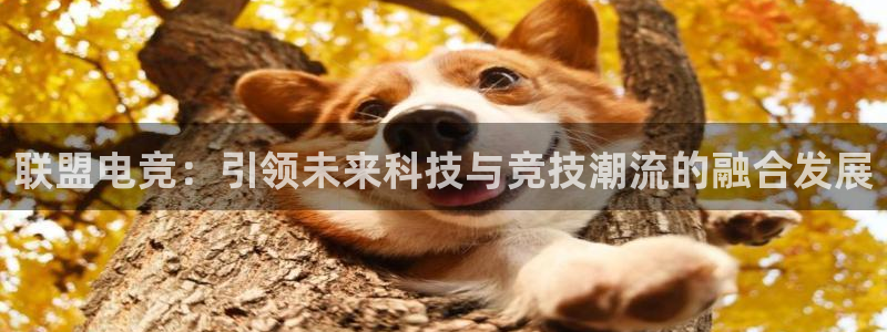 一竞技app下载：联盟电竞：引领未来科技与竞技潮流的融合发展