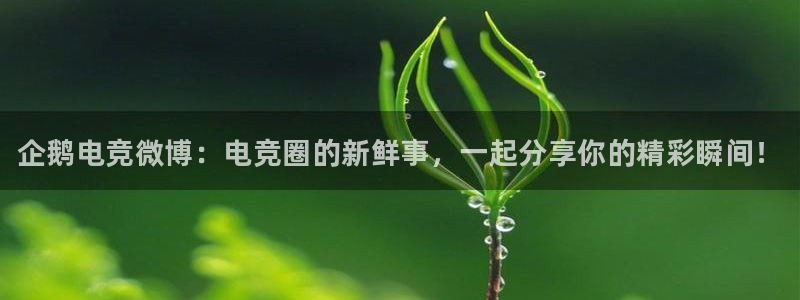 一竞技：企鹅电竞微博：电竞圈的新鲜事，一起分享你的精彩瞬间！