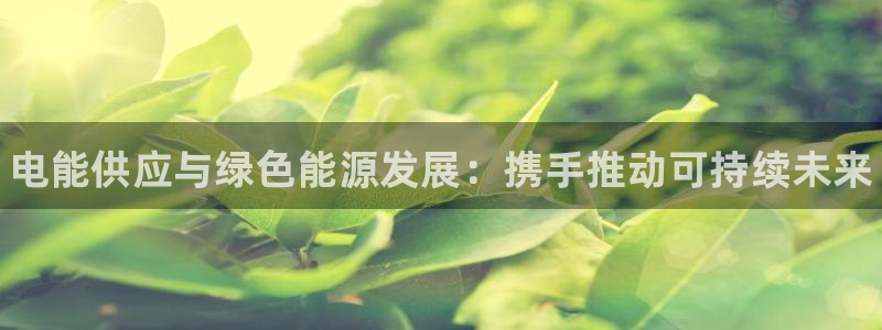 一竞技官网：电能供应与绿色能源发展：携手推动可持续未来