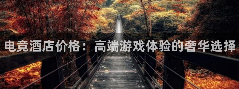 一竞技app下载：电竞酒店价格：高端游戏体验的奢华选择