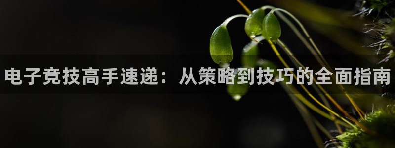 一竞技网址：电子竞技高手速递：从策略到技巧的全面指南