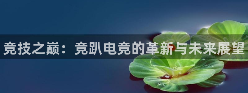 一竞技官网：竞技之巅：竞趴电竞的革新与未来展望