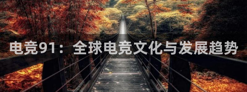 一竞技网址：电竞91：全球电竞文化与发展趋势