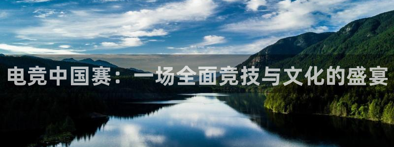 一竞技app下载安装：电竞中国赛：一场全面竞技与文化的盛宴