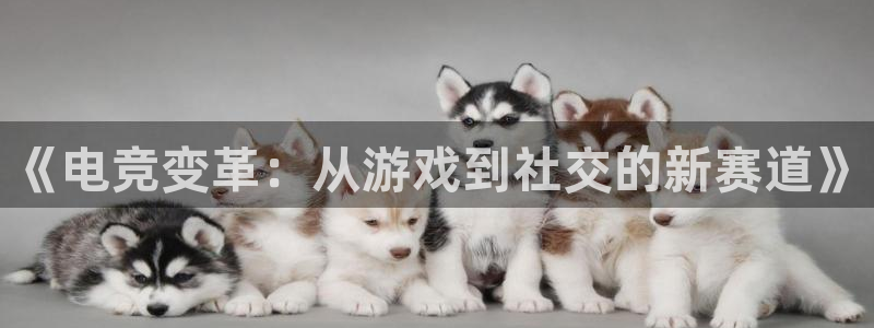 一竞技网址：《电竞变革：从游戏到社交的新赛道》