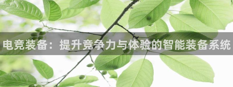 一竞技网址：电竞装备：提升竞争力与体验的智能装备系统
