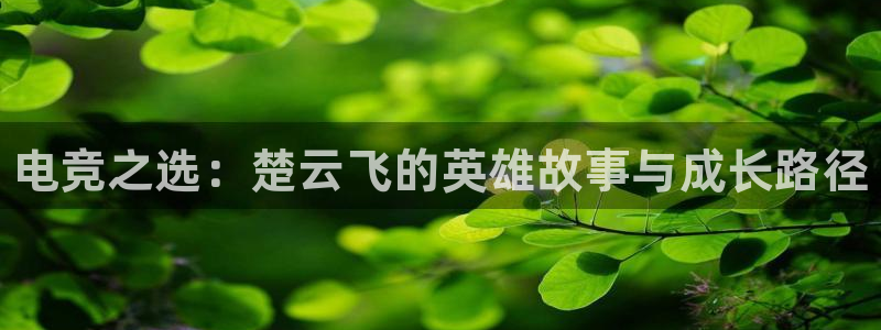 一竞技app下载：电竞之选：楚云飞的英雄故事与成长路径
