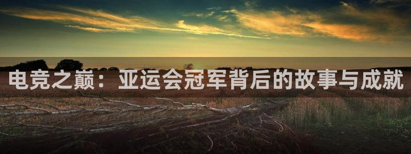 一竞技平台：电竞之巅：亚运会冠军背后的故事与成就