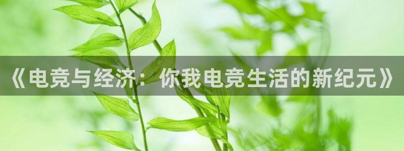 一竞技app：《电竞与经济：你我电竞生活的新纪元》