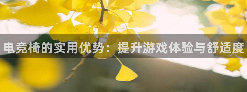 一竞技官网：电竞椅的实用优势：提升游戏体验与舒适度