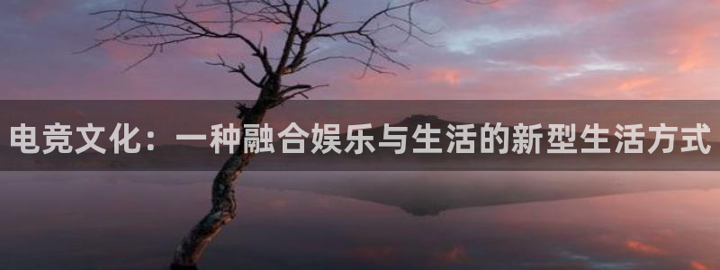 一竞技app：电竞文化：一种融合娱乐与生活的新型生活方式