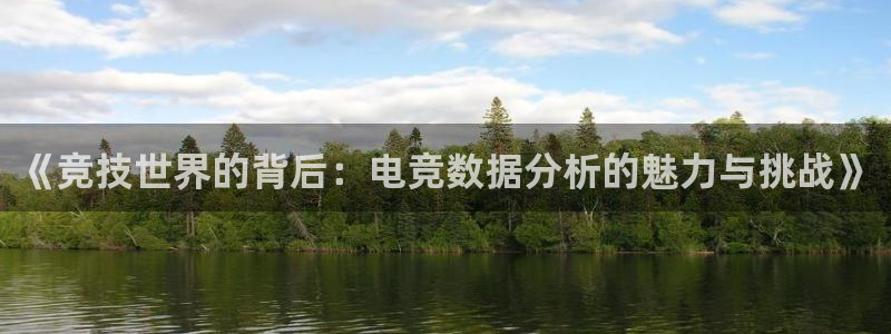 一竞技app：《竞技世界的背后：电竞数据分析的魅力与挑战》