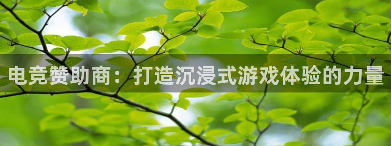 一竞技官网：电竞赞助商：打造沉浸式游戏体验的力量