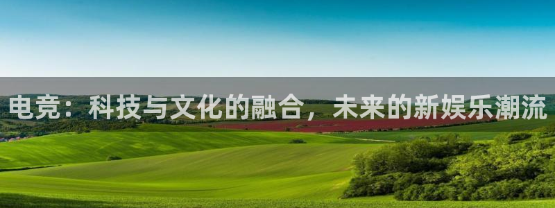 一竞技官网下载：电竞：科技与文化的融合，未来的新娱乐潮流