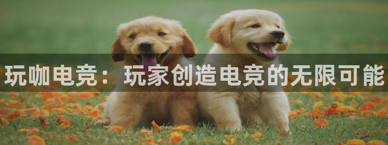 一竞技网址：玩咖电竞：玩家创造电竞的无限可能