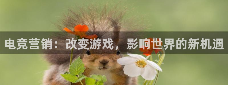 一竞技app：电竞营销：改变游戏，影响世界的新机遇